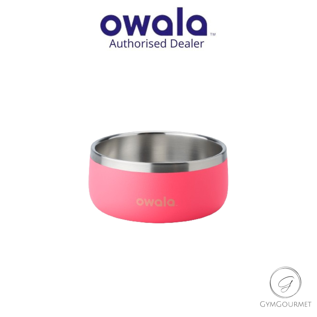 Owala Stainless Steel Pet Bowl Assorted Sizes and Colours