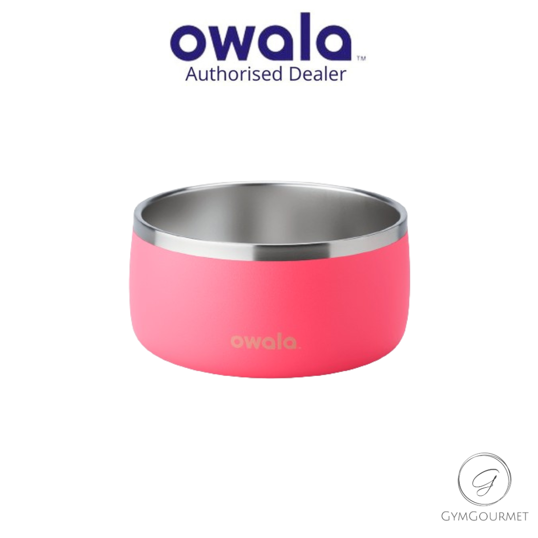 Owala Stainless Steel Pet Bowl Assorted Sizes and Colours