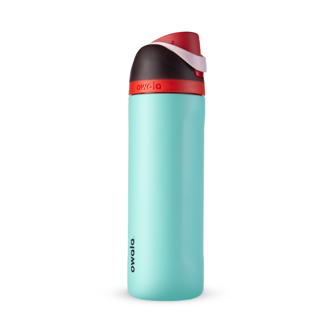 Owala FreeSip Stainless-Steel Insulated Water Bottle with Locking Push-Button Lid