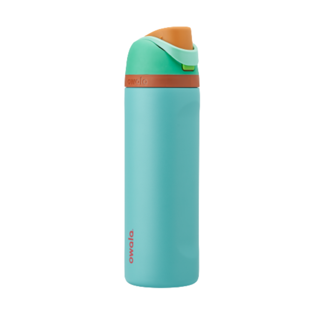 Owala FreeSip Stainless-Steel Insulated Water Bottle with Locking Push-Button Lid