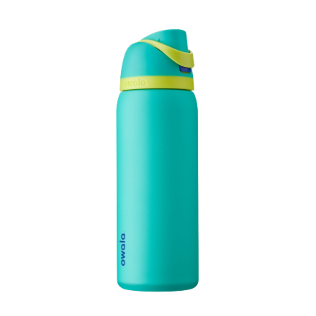 Owala FreeSip Stainless-Steel Insulated Water Bottle with Locking Push-Button Lid