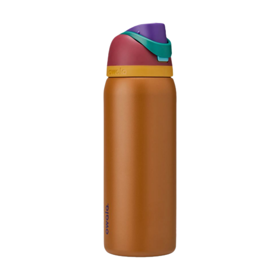 Owala FreeSip Stainless-Steel Insulated Water Bottle with Locking Push-Button Lid