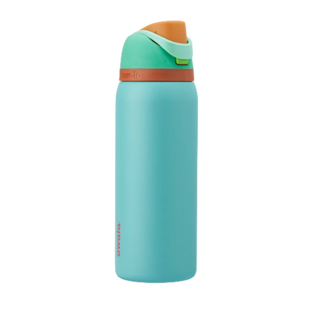 Owala FreeSip Stainless-Steel Insulated Water Bottle with Locking Push-Button Lid