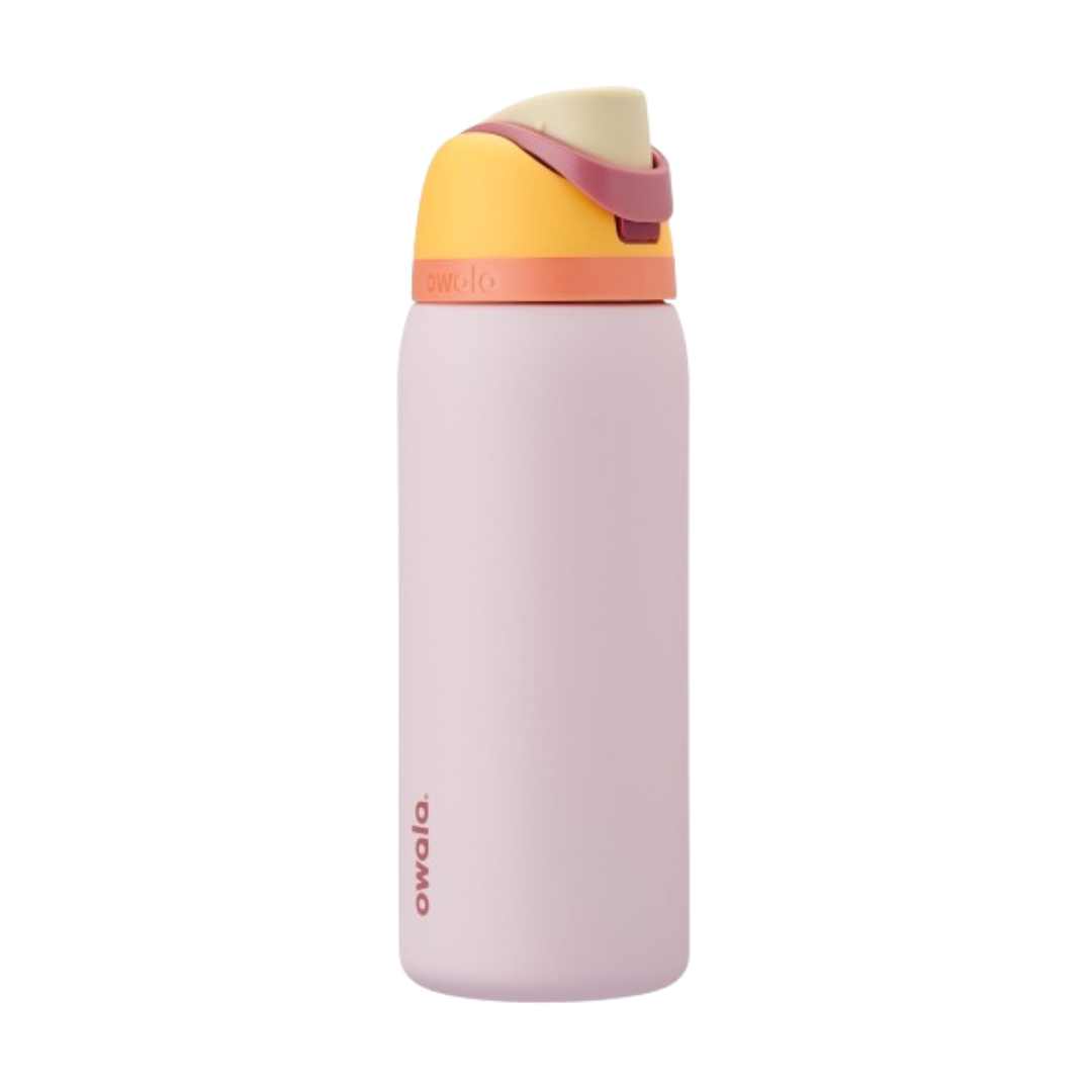 Owala FreeSip Stainless-Steel Insulated Water Bottle with Locking Push-Button Lid