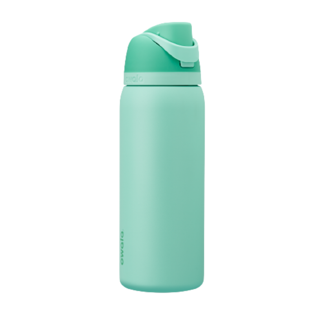 Owala FreeSip Stainless-Steel Insulated Water Bottle with Locking Push-Button Lid