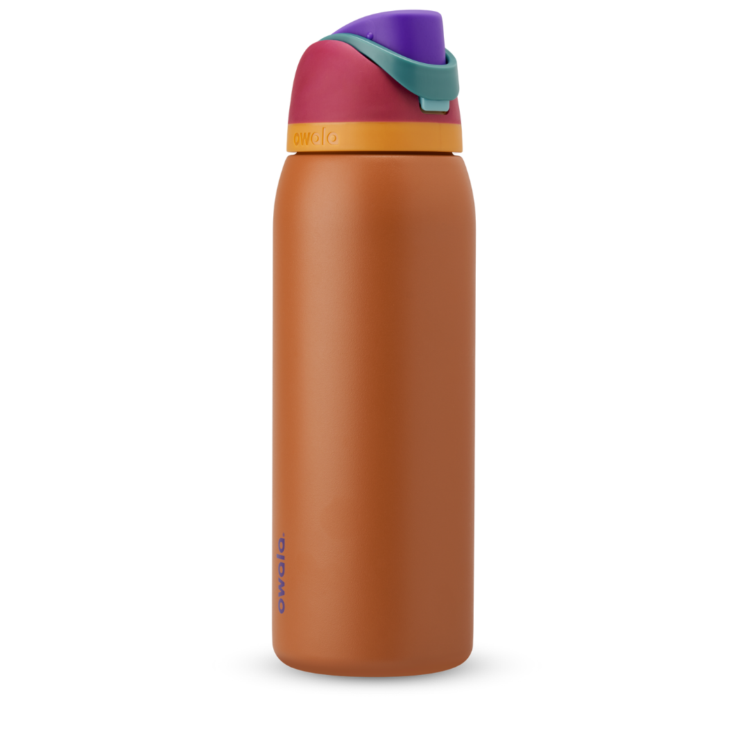 Owala FreeSip Stainless-Steel Insulated Water Bottle with Locking Push-Button Lid