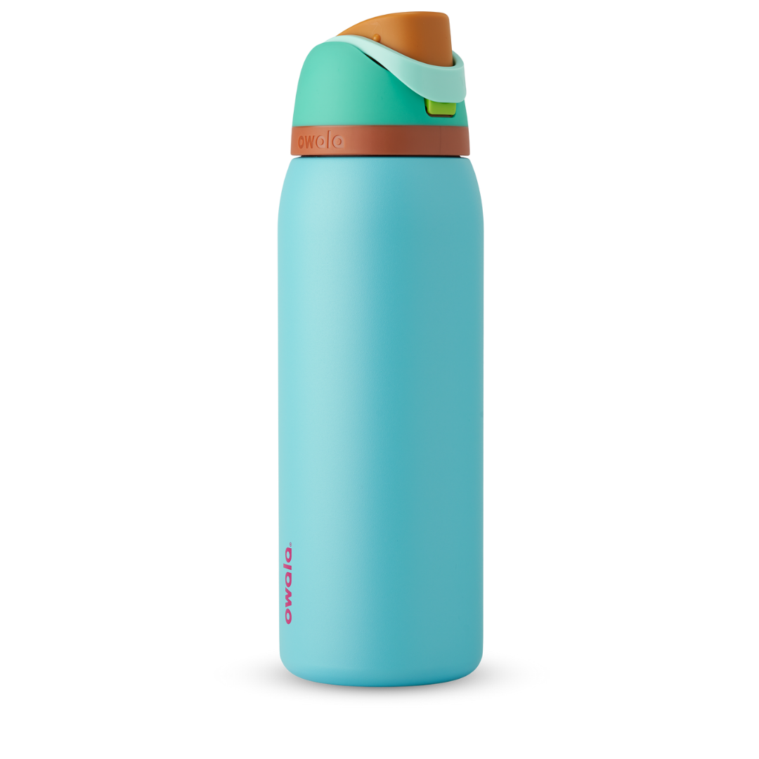 Owala FreeSip Stainless-Steel Insulated Water Bottle with Locking Push-Button Lid