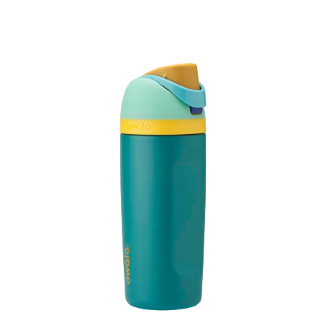 Owala FreeSip Stainless-Steel Insulated Water Bottle with Locking Push-Button Lid