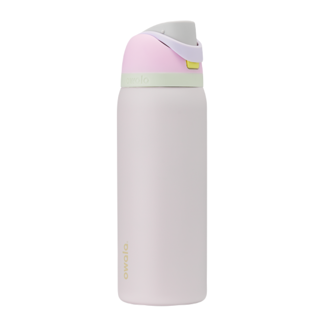 Owala FreeSip Stainless-Steel Insulated Water Bottle with Locking Push-Button Lid