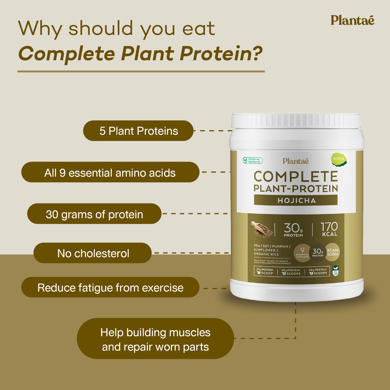 Plantae Complete Plant Protein