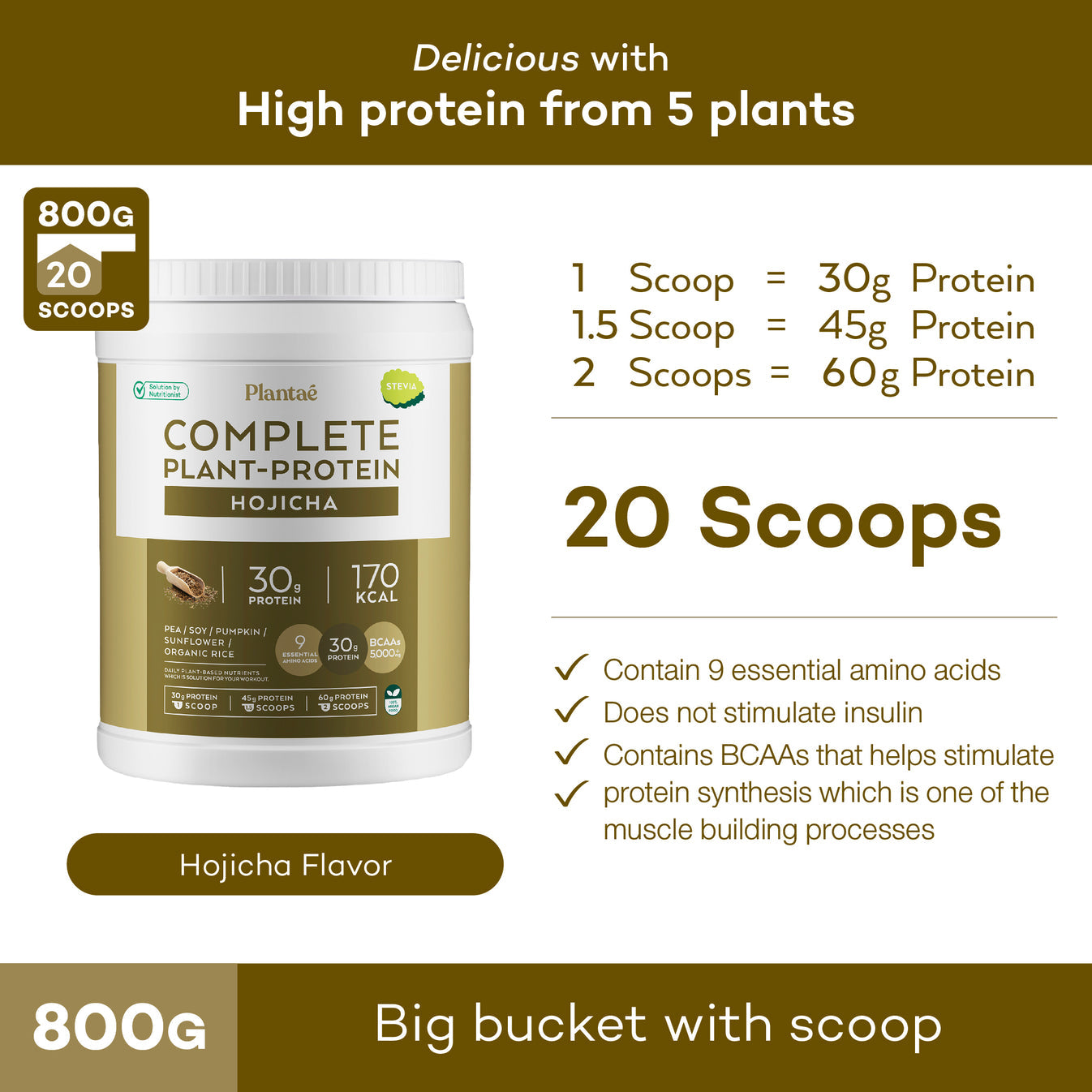 Plantae Complete Plant Protein