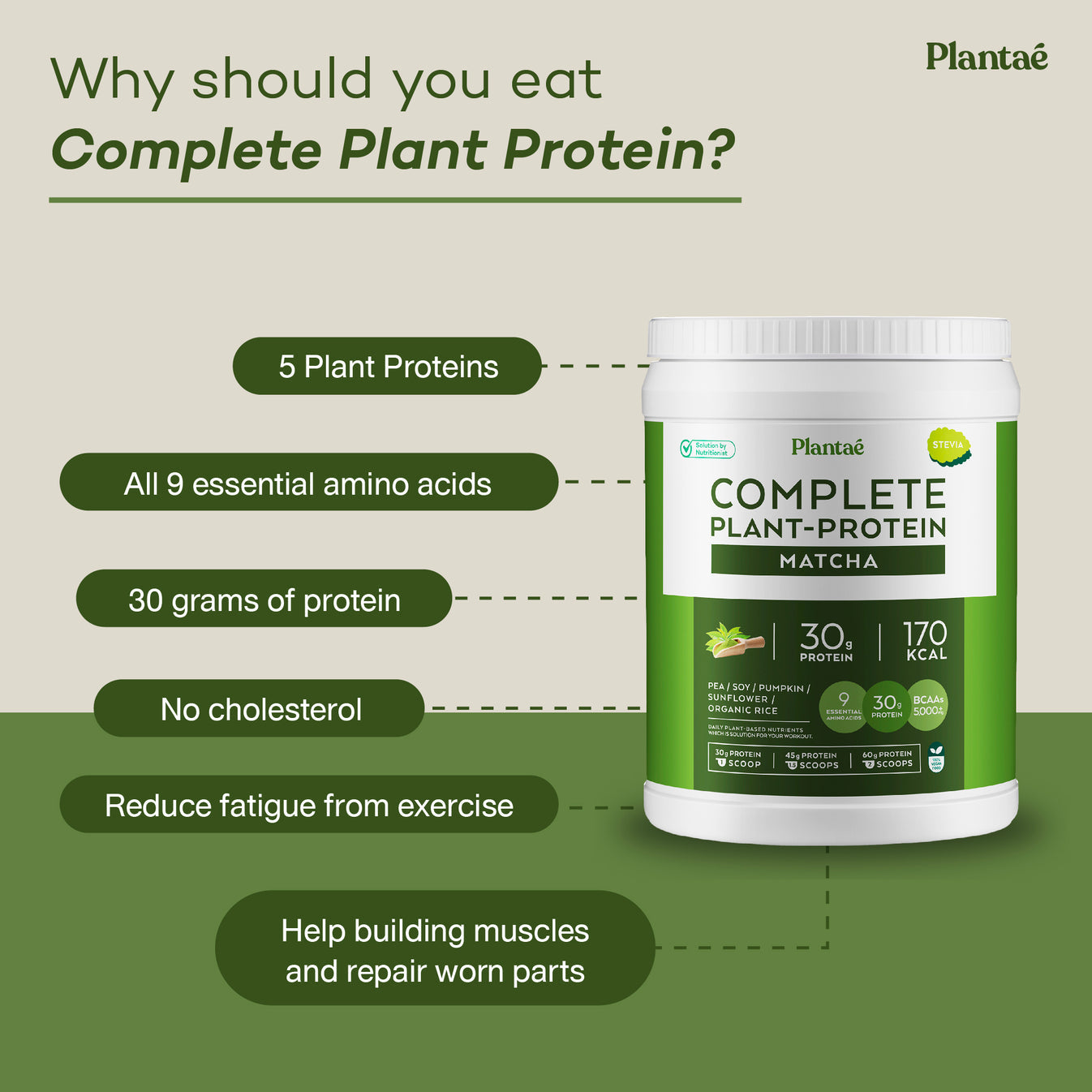 Plantae Complete Plant Protein
