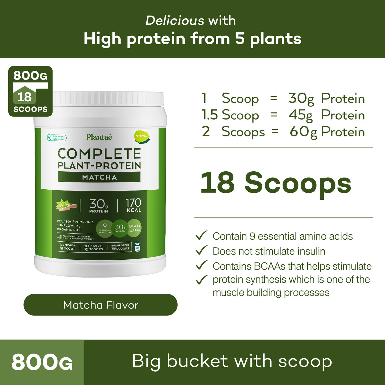 Plantae Complete Plant Protein