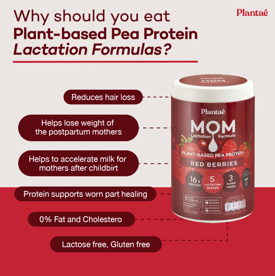 Plantae Lactation Blend Pea Protein 500g : Red Berry